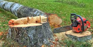 Best Firewood Processing and Delivery  in Edmonds, WA