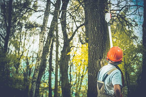Best Seasonal Cleanup (Spring/Fall)  in Edmonds, WA